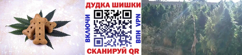 как найти наркотики  Мантурово  Cannafood конопля 