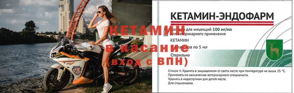 прущие грибы Бронницы